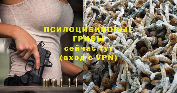 МДПВ Надым