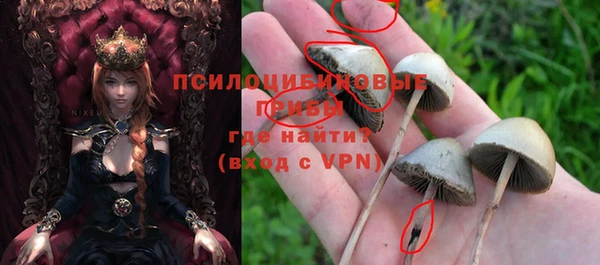 молекула духа Навашино