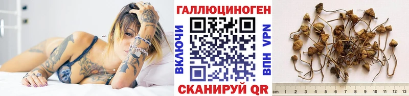 OMG ссылки  Ханты-Мансийск  Псилоцибиновые грибы прущие грибы 